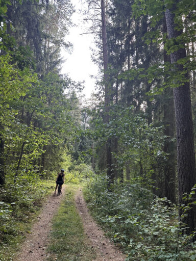 Lakes Forests Borderlands Overnighter