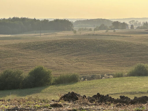 Lakes Forests Borderlands Overnighter