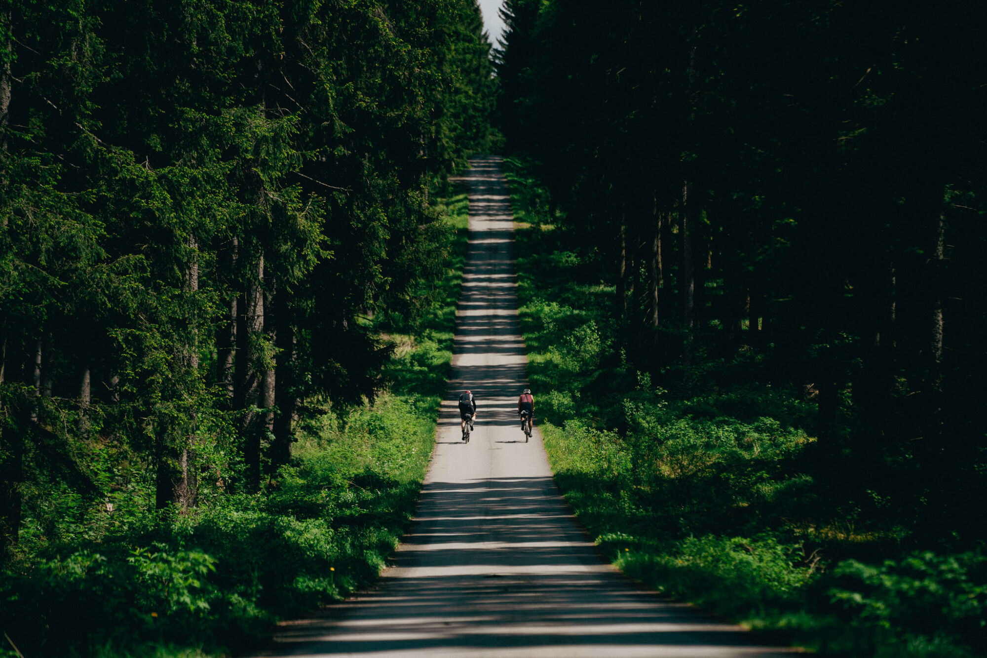 race through poland 2025 film