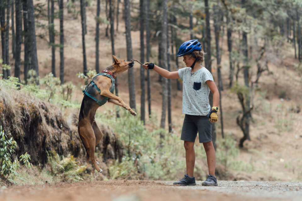 shakedown ride la reina overnighter