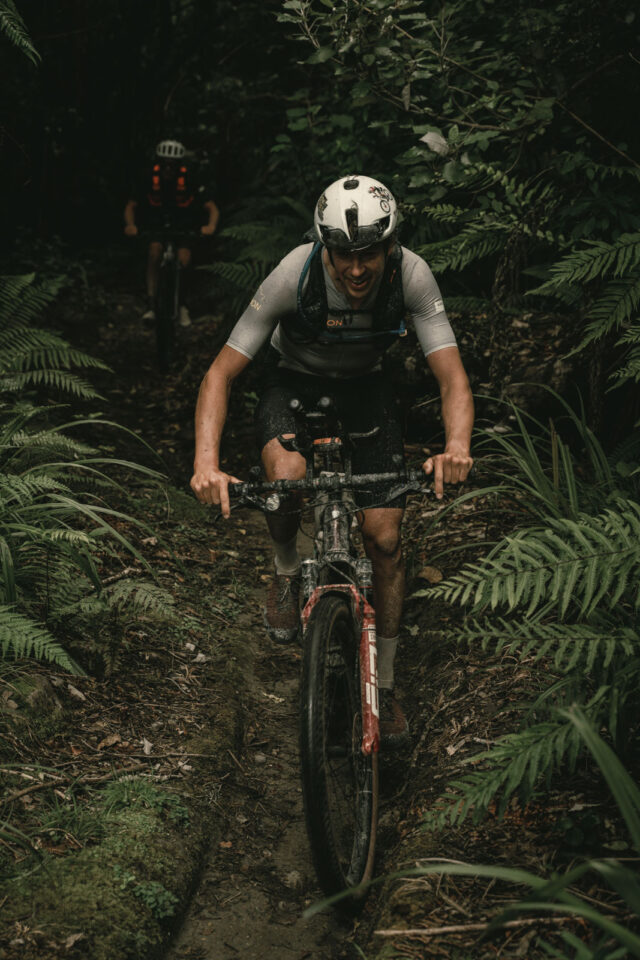 tour te Waipounamu 2026 update