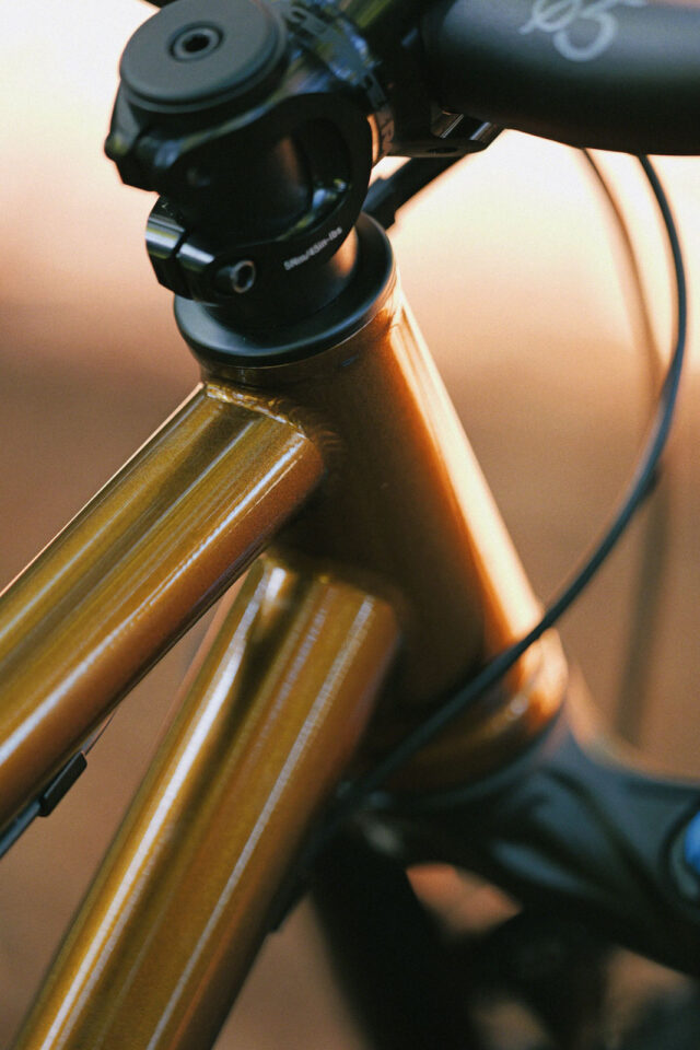 2026 neuhaus hummingbird