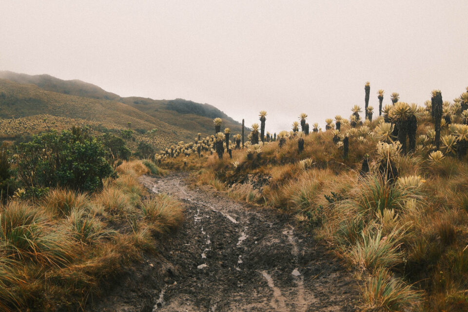 Bikepacking Colombia, Greg McCahon