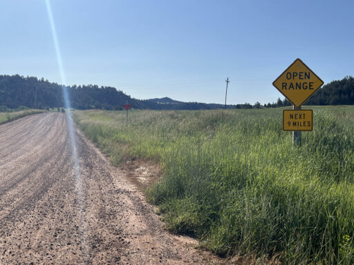 GAWR Segment 3 Steppe