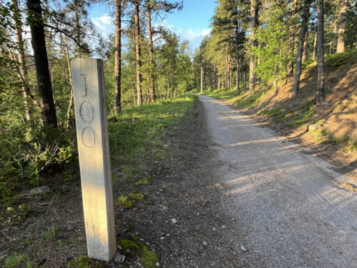 GAWR Segment 3 Steppe