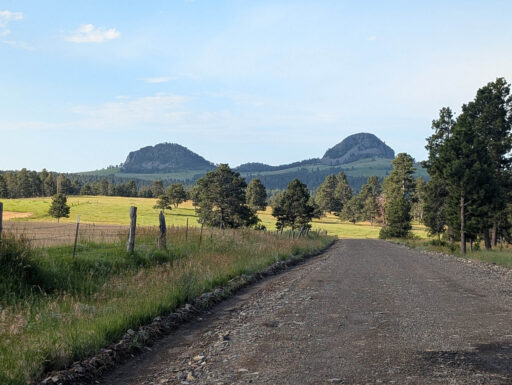 GAWR Segment 3 Steppe