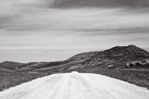 GAWR Segment 3 Steppe