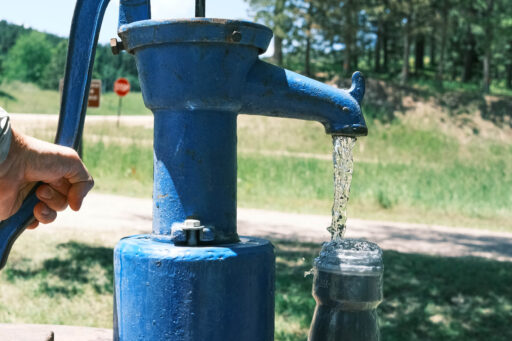 GAWR Segment 3 Steppe