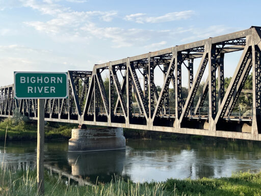 GAWR Segment 3 Steppe