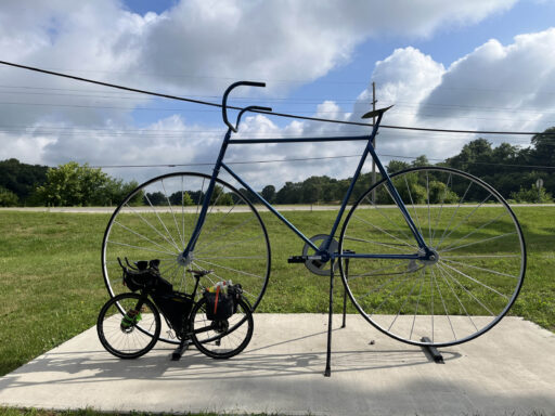 GAWR Segment 5 Maize