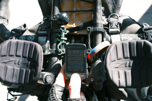 GAWR Segment 5 Maize