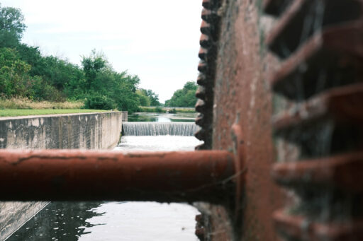 GAWR Segment 5 Maize