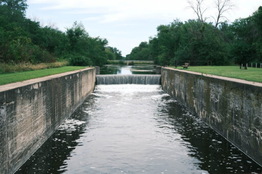 GAWR Segment 5 Maize