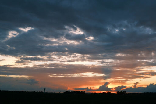 GAWR Segment 5 Maize