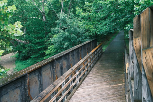 GAWR Segment 5 Maize