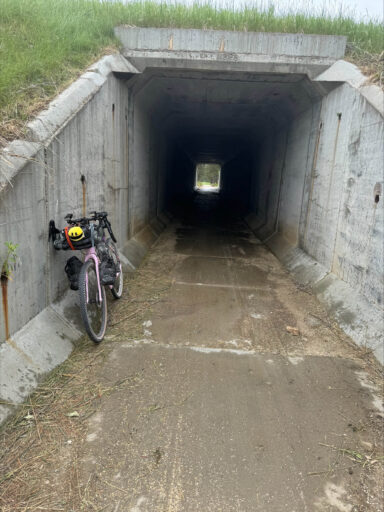 GAWR Segment 5 Maize