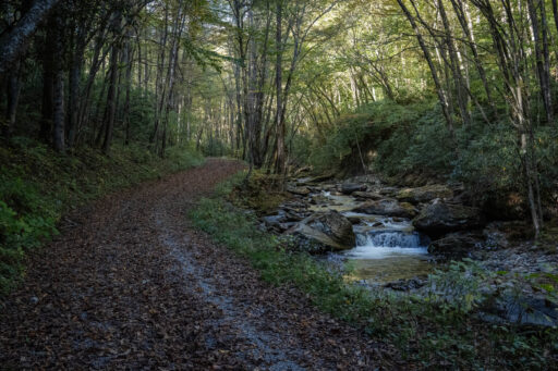 Qualla Quest Bikepacking Overnighter