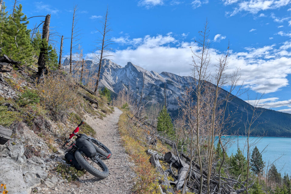 Custom RollingDale bike