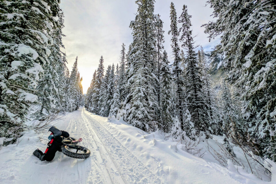 Custom RollingDale bike