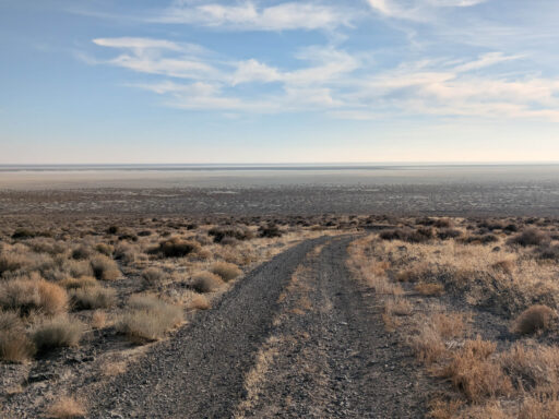 Salt and Silver Overnighter