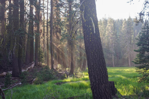 Sattitla Flow Bikepacking Route