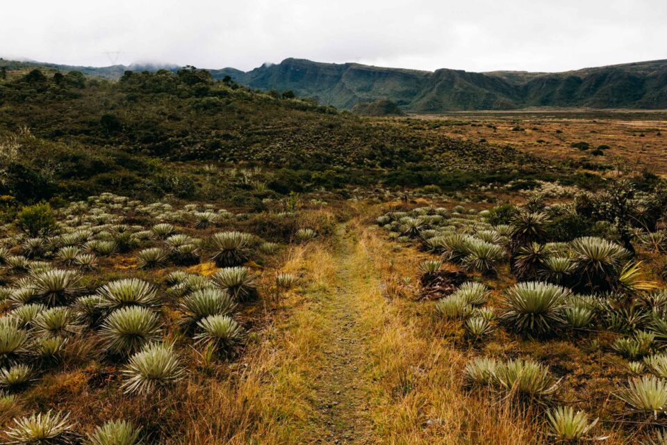 bikepacking colombia paramos cass gilbert
