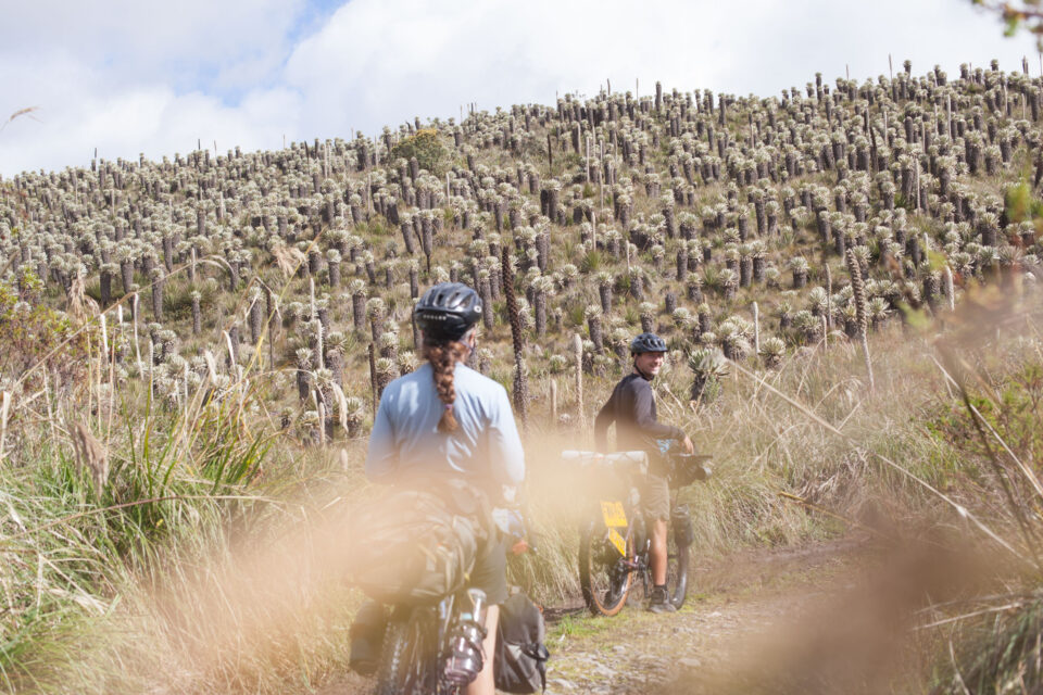 Across Ecuador on the Trans Ecuador Mountain Bike Route (Video)