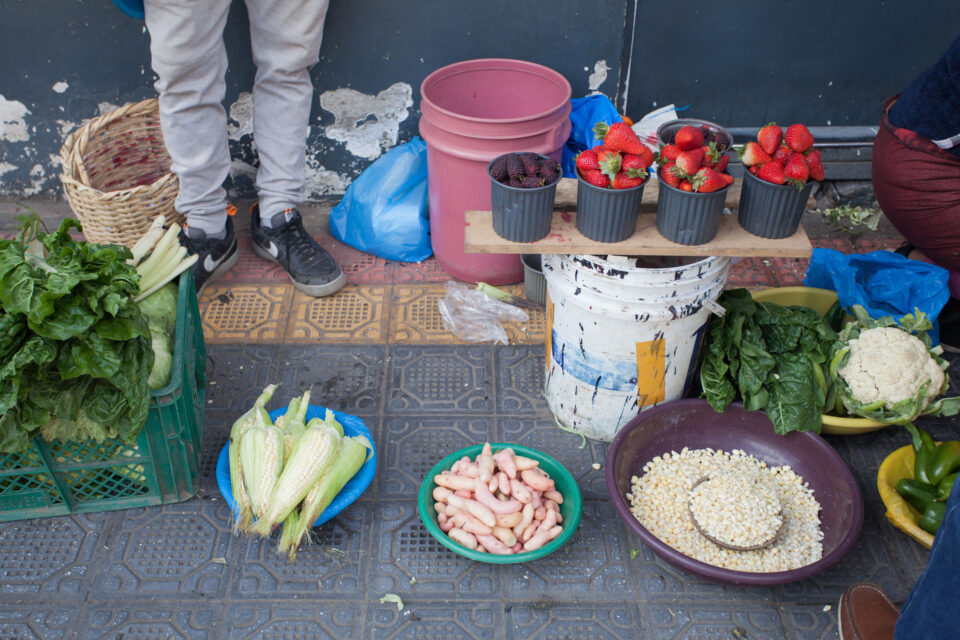 trans ecuador mountain bike route