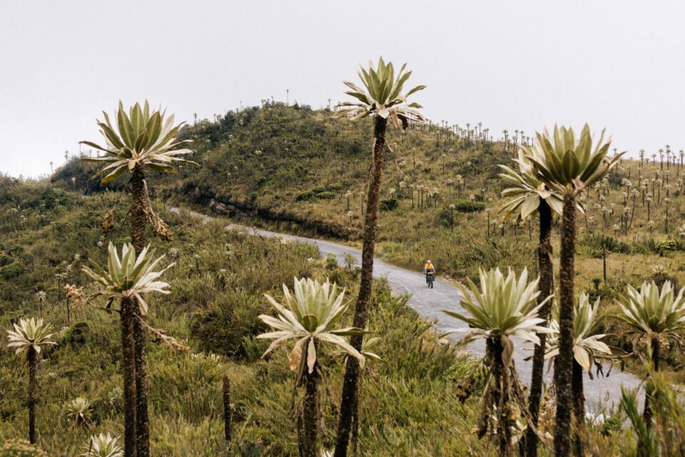 A Week in the Life of a Colombian Bike Tour: Vamos Campeones!