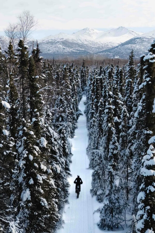 justinas 2026 iti 350 win