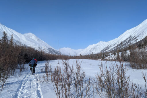 2026 iditarod trail update