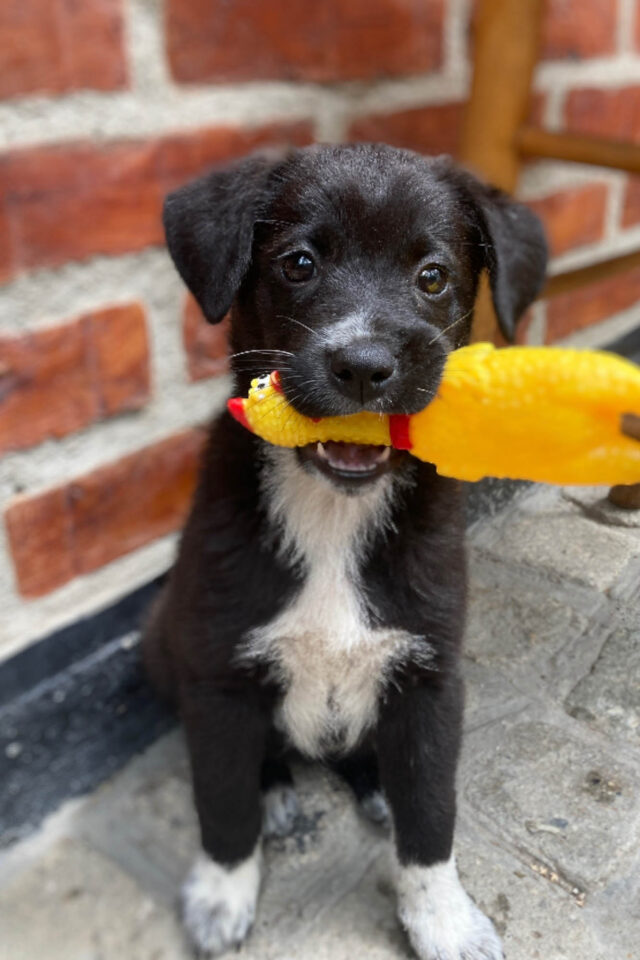 Tall Bike Tour, Bikepacking Turkey