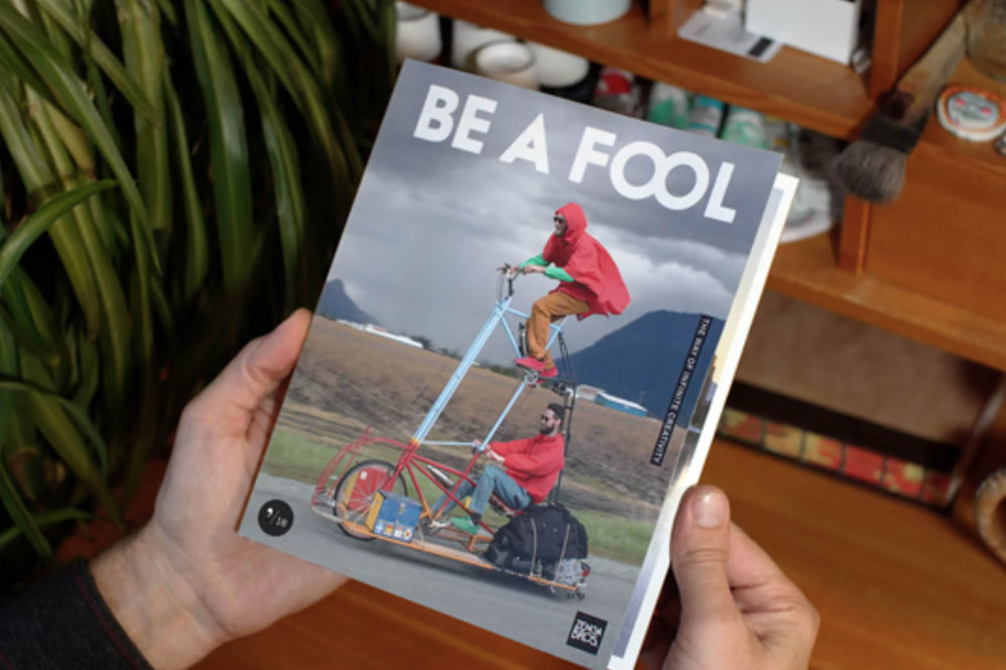 Be a Fool Zenga Bros Book