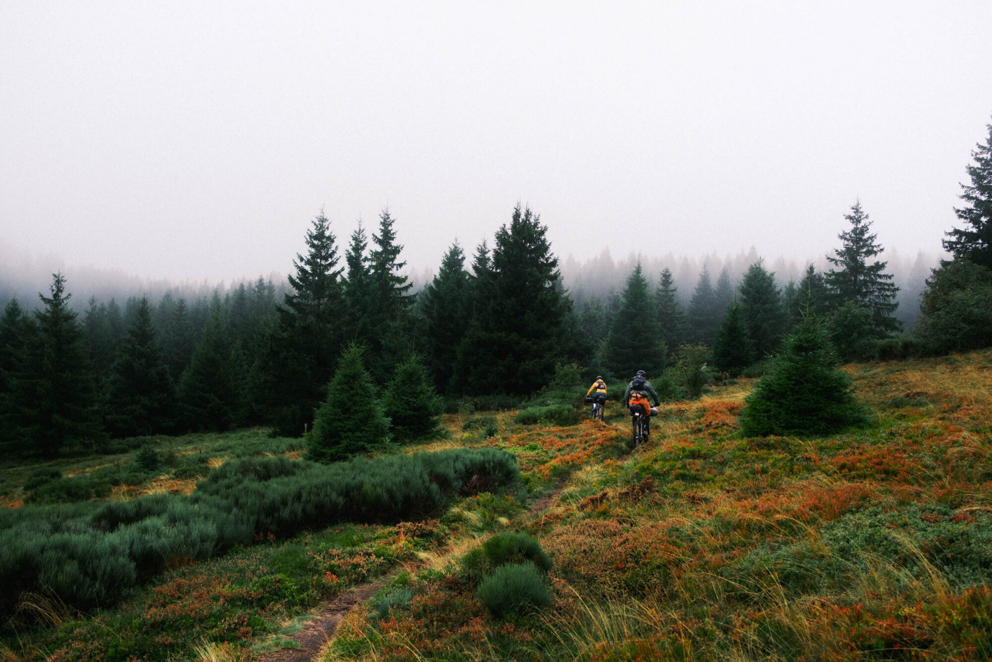Ardeche-Cevennes Divide
