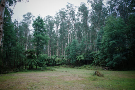 Billy Bunyip Overnighter