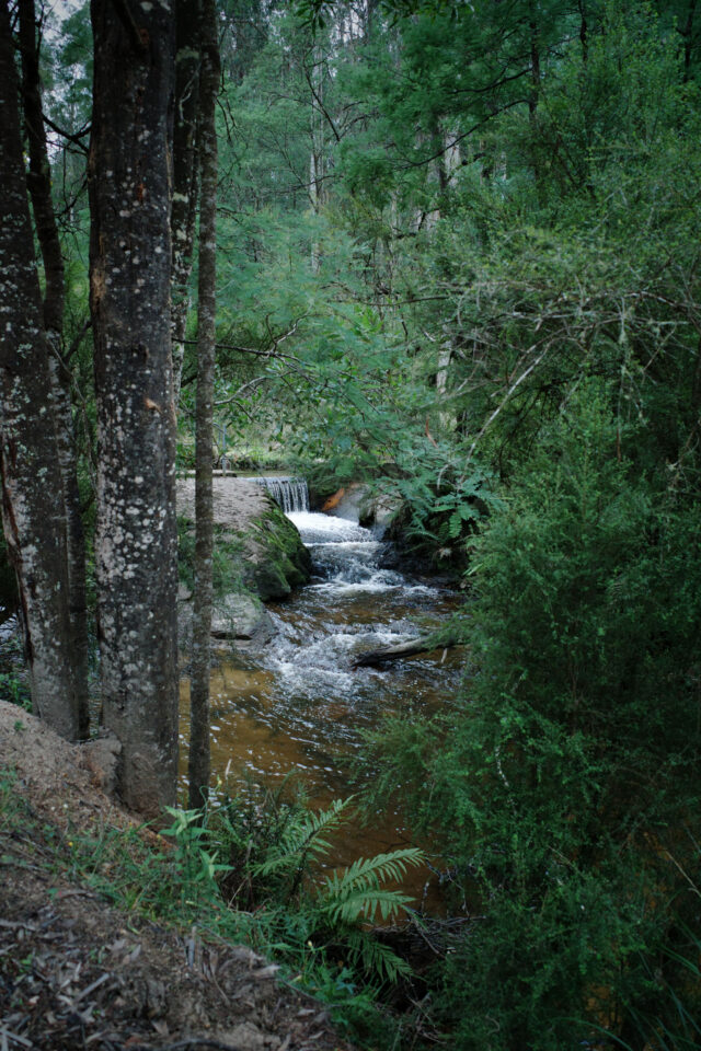 Billy Bunyip Overnighter