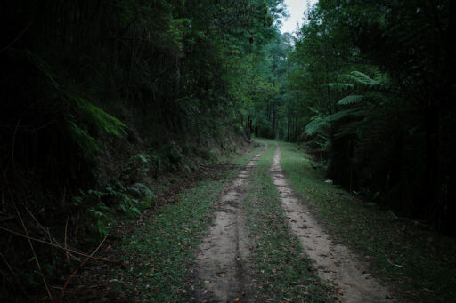 Billy Bunyip Overnighter