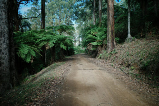 Billy Bunyip Overnighter