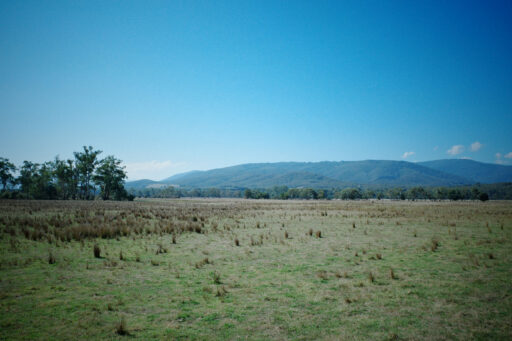 Billy Bunyip Overnighter