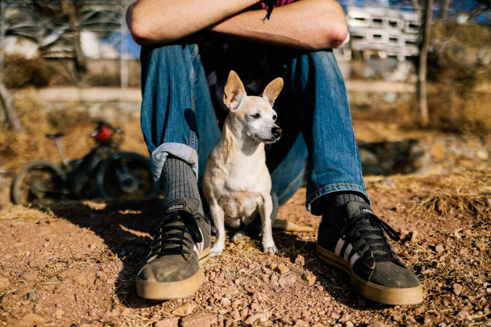 Five Small Things, Sunrises and Sunsets