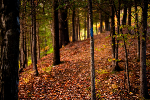 Michigan Off-Road Expedition More Bikepacking Route