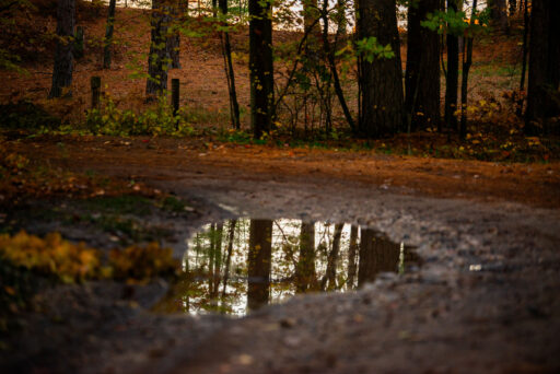 Michigan Off-Road Expedition More Bikepacking Route