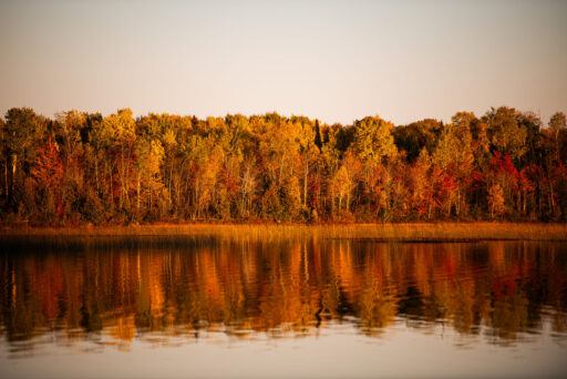 Michigan Off-Road Expedition More Bikepacking Route