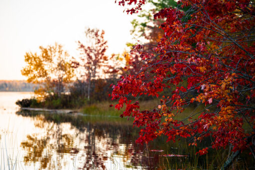 Michigan Off-Road Expedition More Bikepacking Route