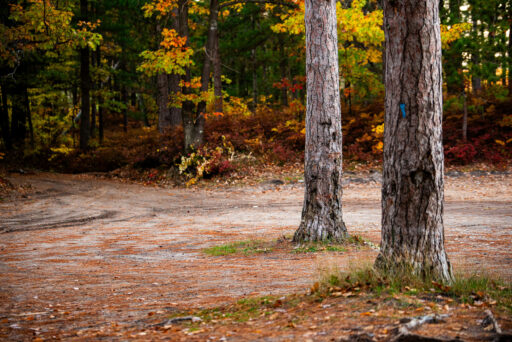 Michigan Off-Road Expedition More Bikepacking Route