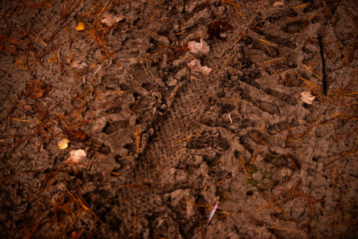 Michigan Off-Road Expedition More Bikepacking Route