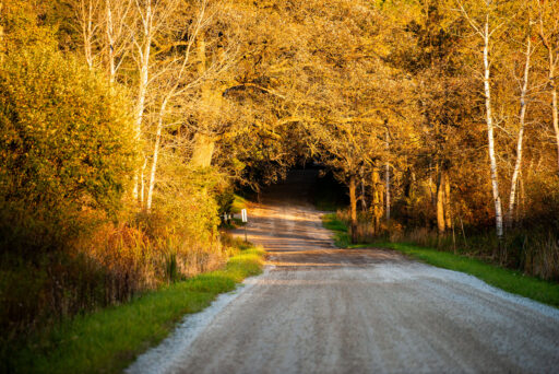 Michigan Off-Road Expedition More Bikepacking Route