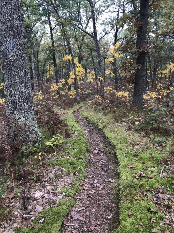 Michigan Off-Road Expedition More Bikepacking Route