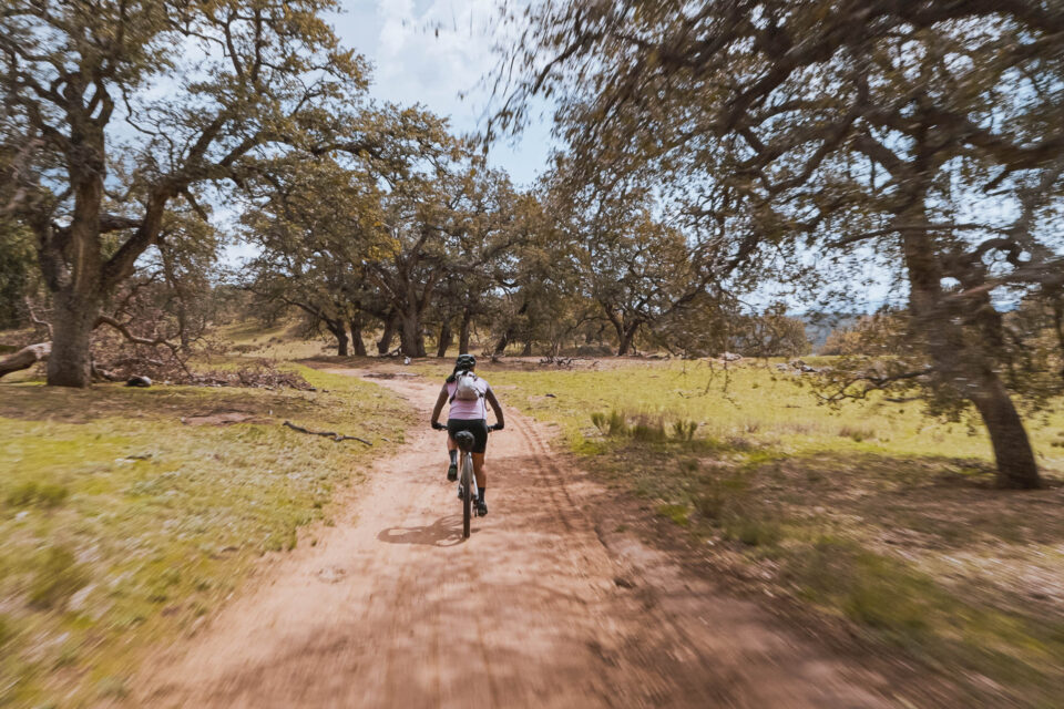 Stagecoach 400 Documentary Series