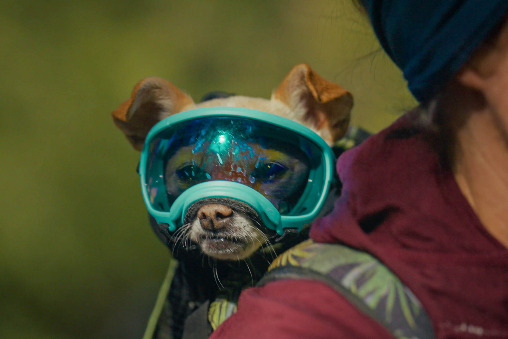 Stagecoach 400 Documentary Series